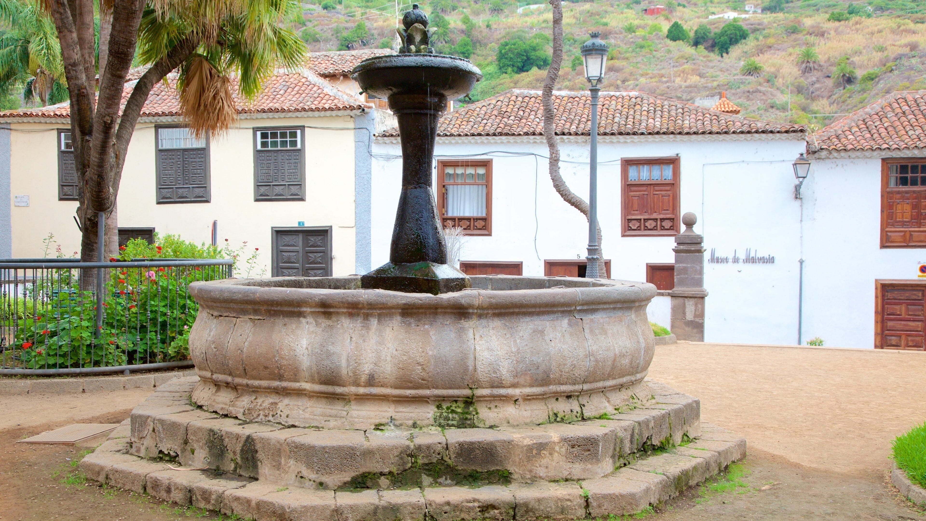 Icod de los Vinos som viser et springvand