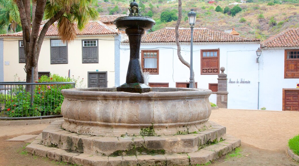 Icod de los Vinos som viser et springvand