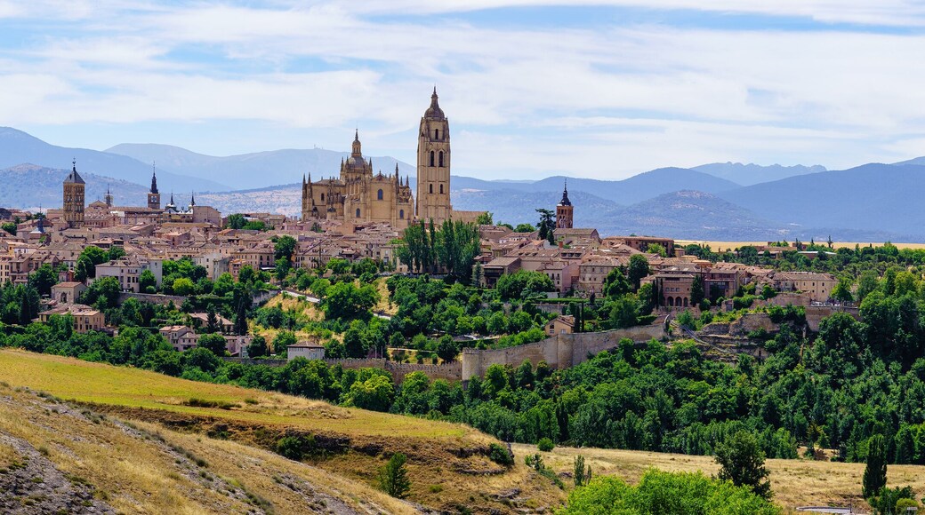 ํ ๋ ์นด๋ฐ์๋ก์ค