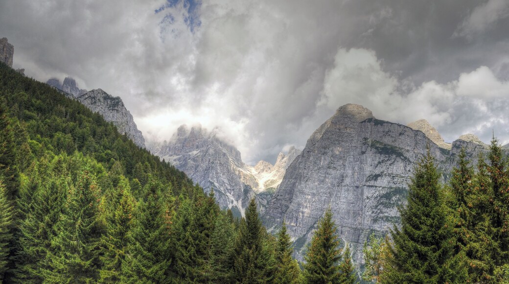Croz dell'Altissimo - Pian dei Casinati, Molveno, Trento, Italia