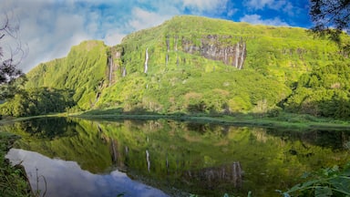 Ribeira do Ferreiro, Lagoa das Patas - Flores, AƧores