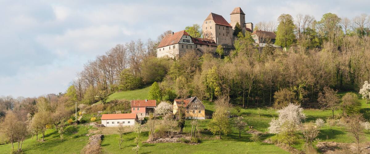 A castle on a hill with surrounding greenery and smaller buildings.