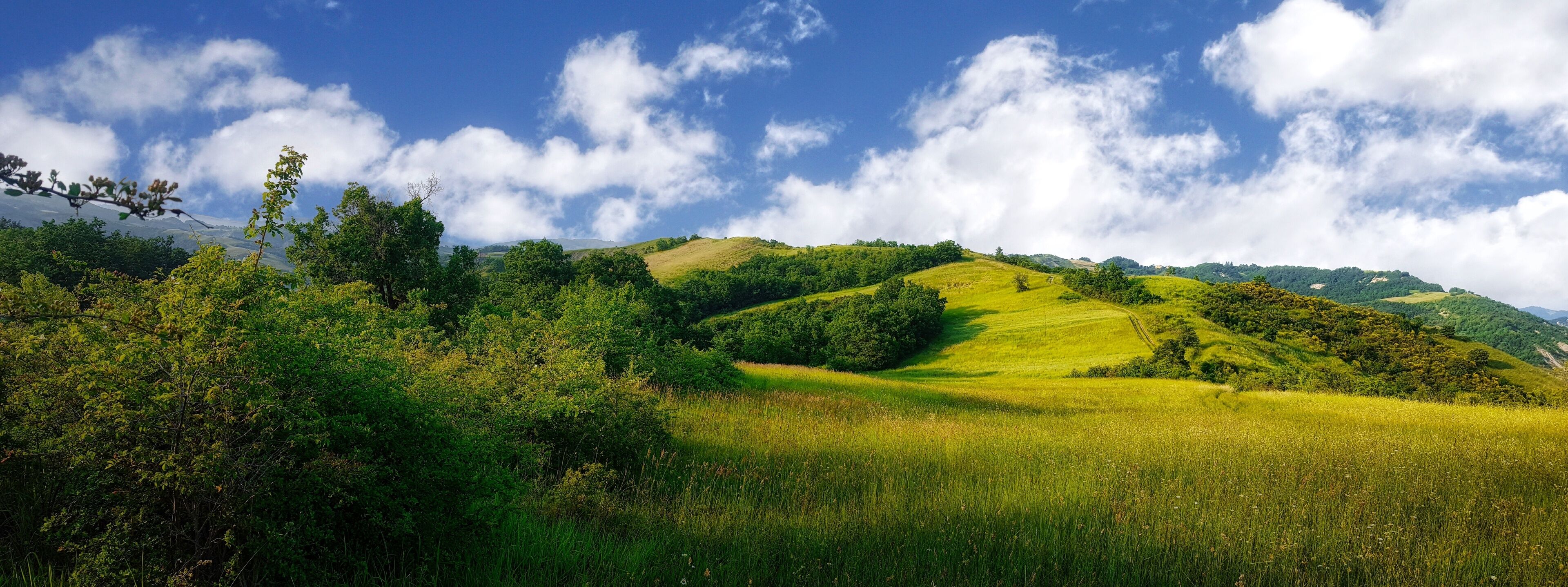 paesaggio collinare, colline italiane