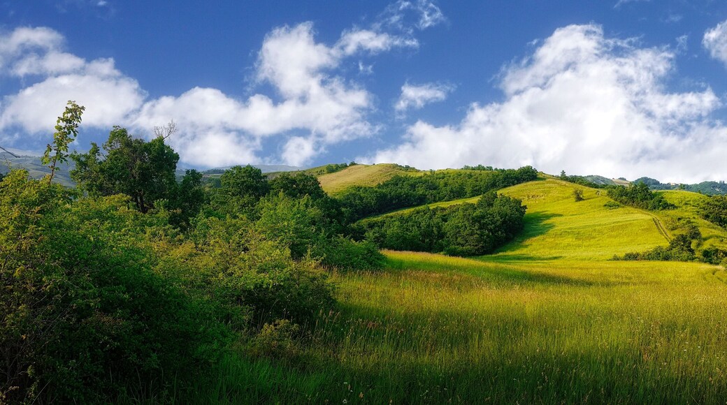 paesaggio collinare, colline italiane