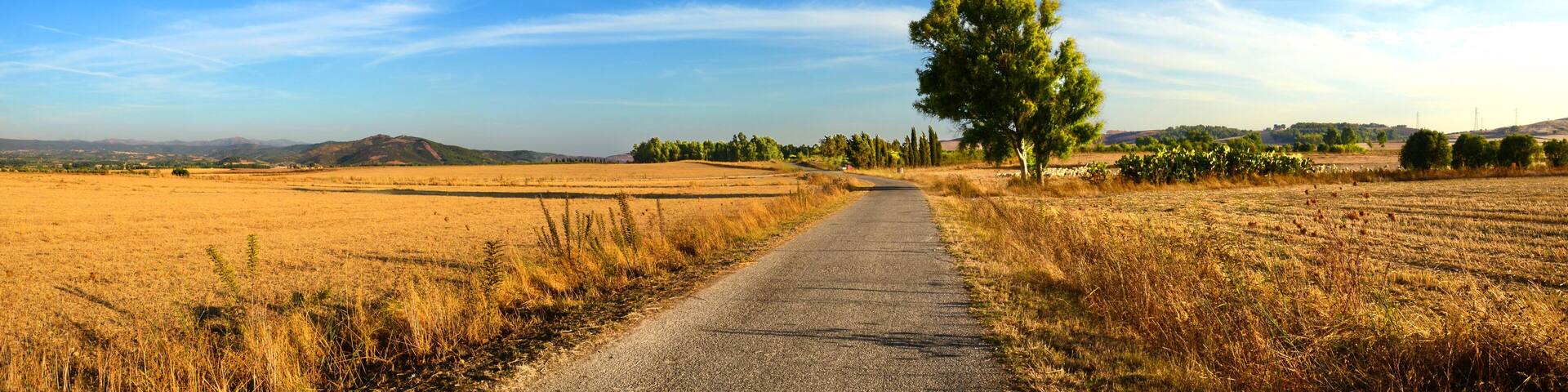 Strada di campagna nel sud Sardegna, Italia