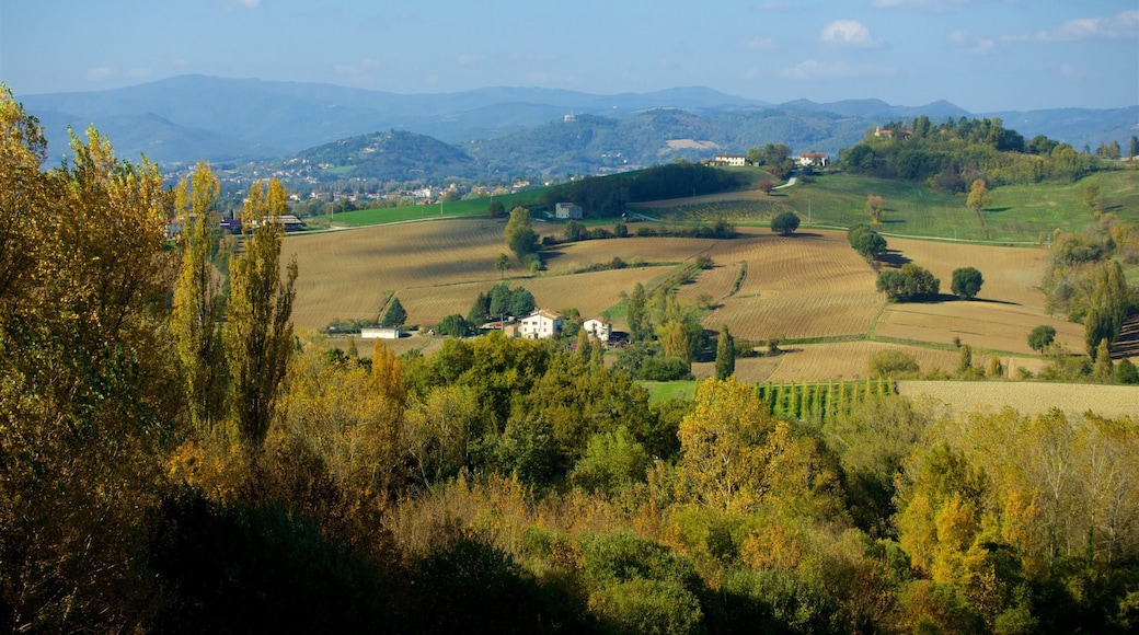 Montone showing tranquil scenes