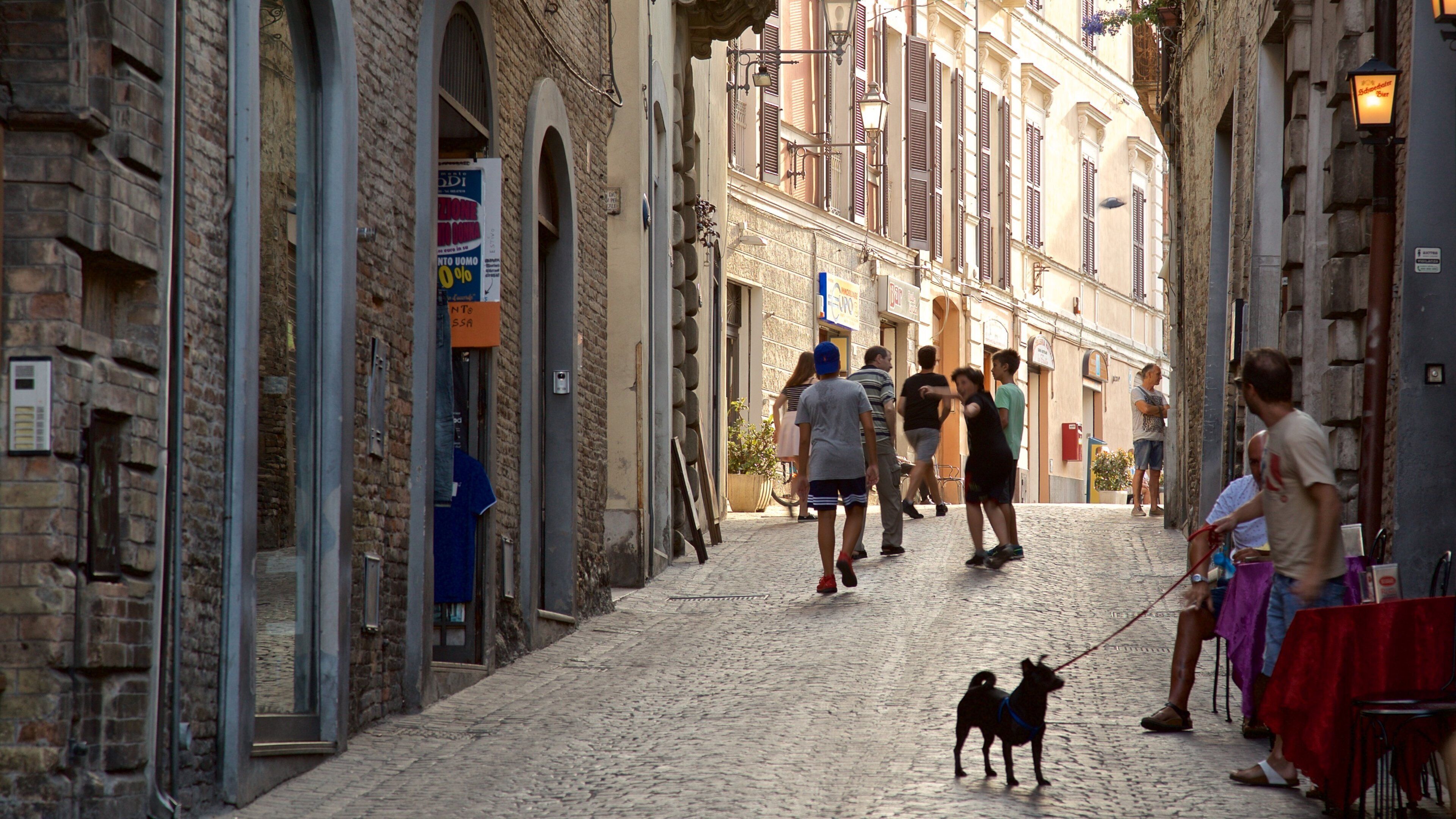 Atri which includes street scenes and cuddly or friendly animals as well as a small group of people