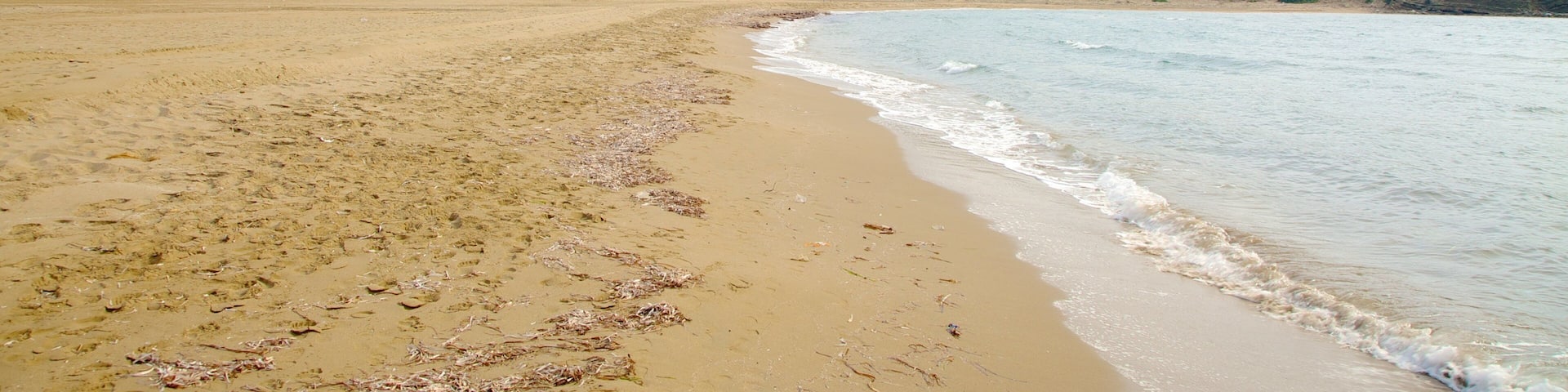Prassonissi showing a beach and general coastal views