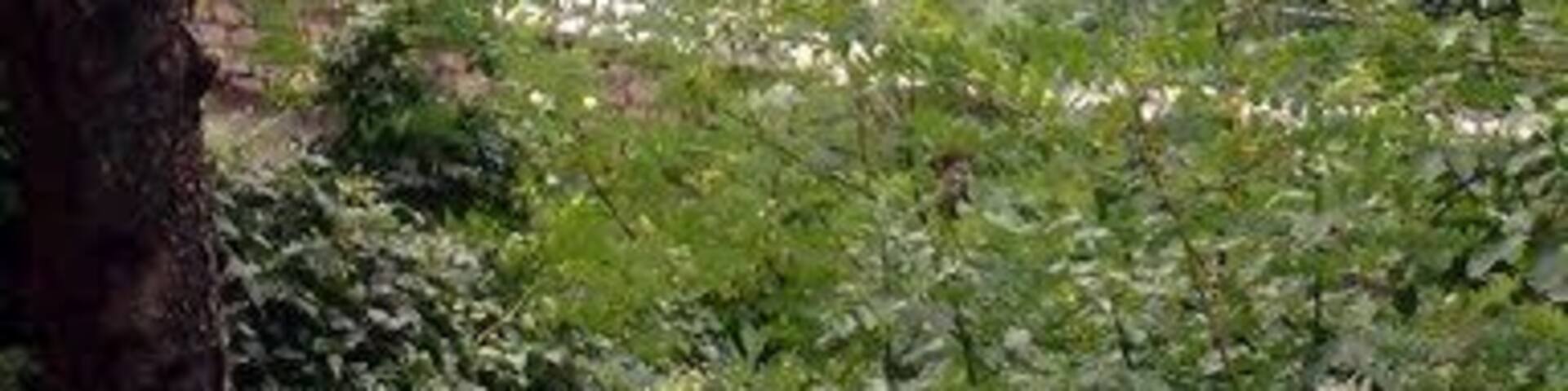 Spiazzi - panorama z Sanktuarium Madonna Della Corona na Doline Adygi