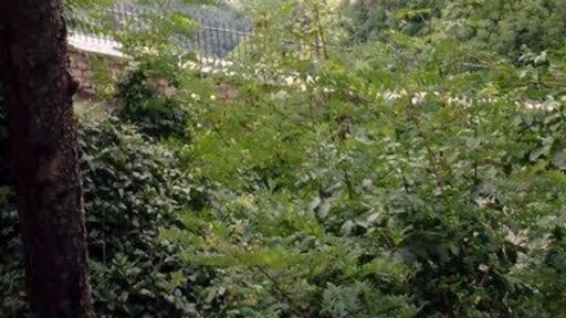 Spiazzi - panorama z Sanktuarium Madonna Della Corona na Doline Adygi
