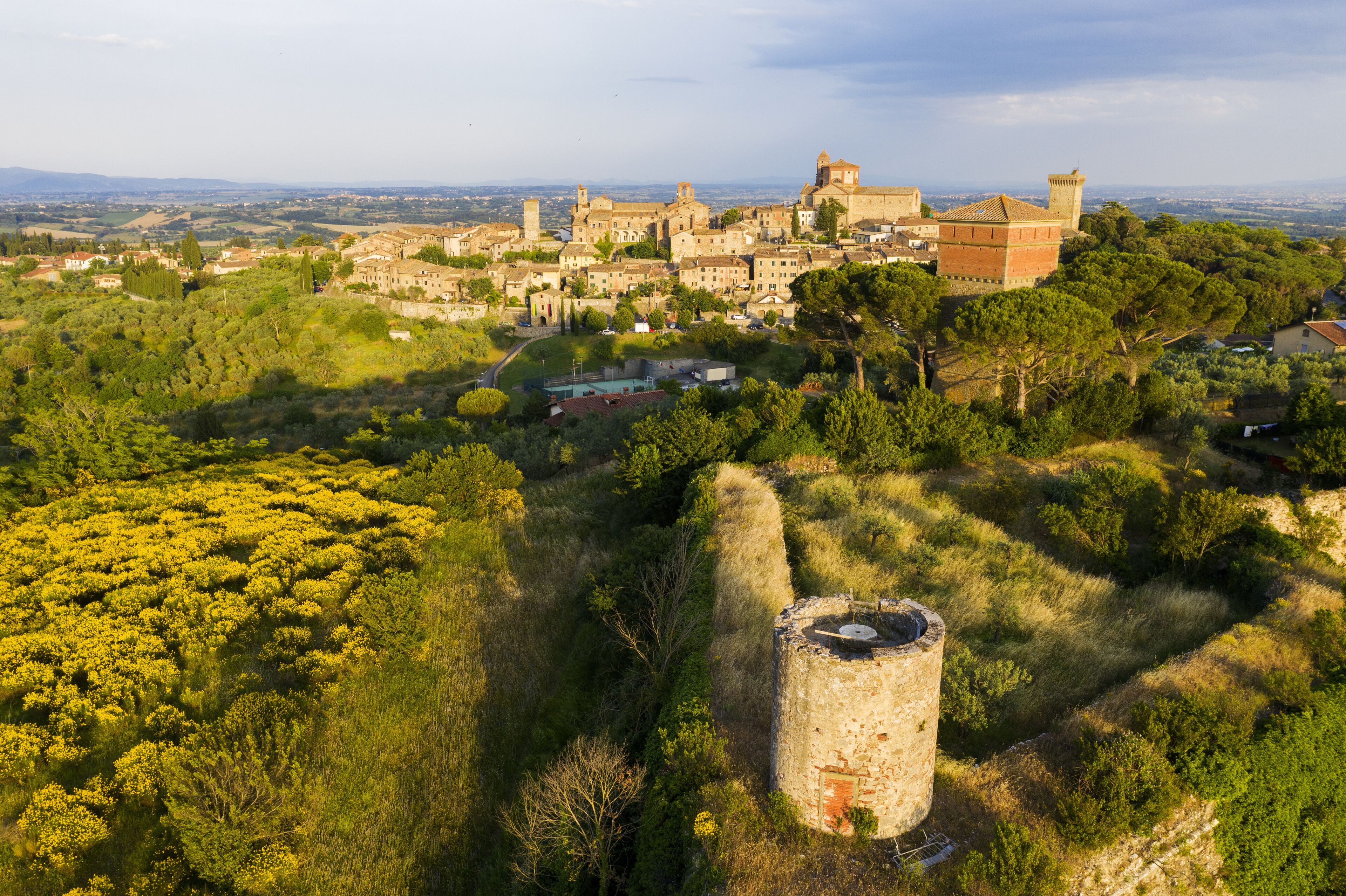 福亚诺德拉基亚纳