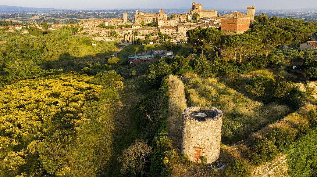 福亚诺德拉基亚纳