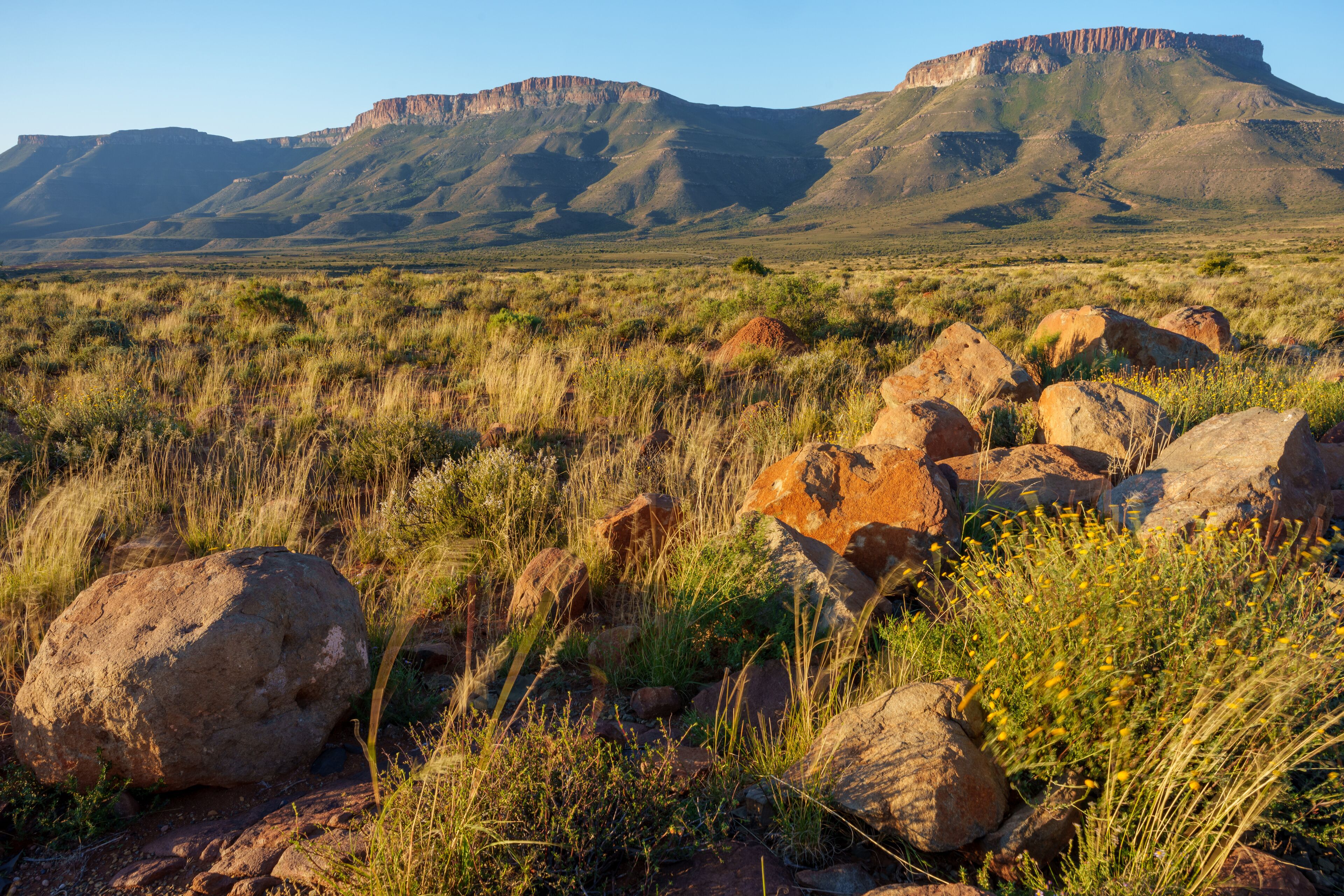   보퍼트웨스트