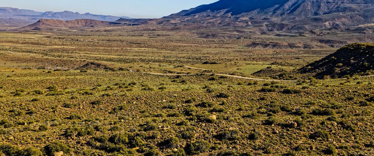 A vast desert landscape with sparse vegetation, a prominent mountain range in the background, and a dirt road meandering through the terrain.
