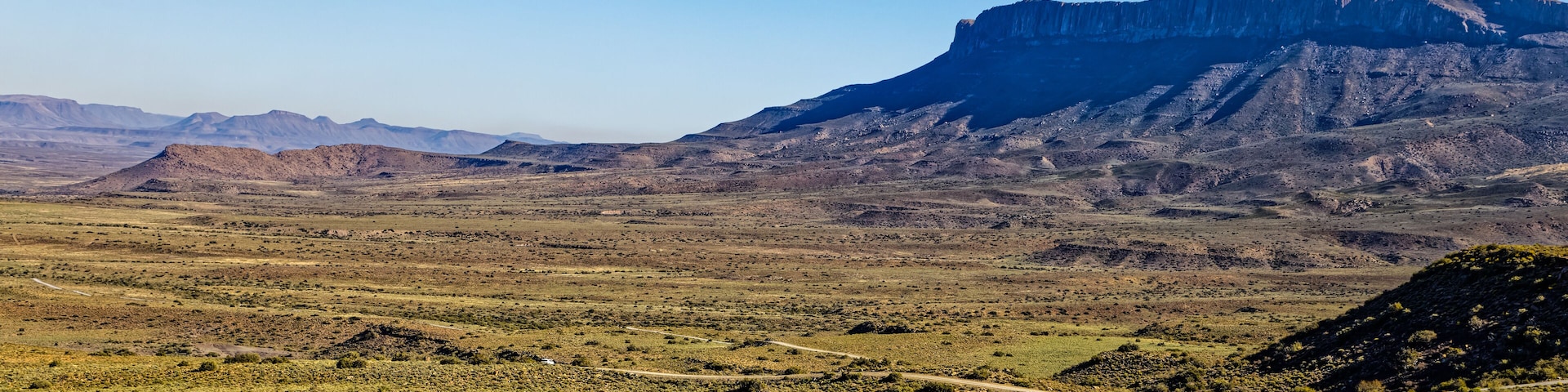 A vast desert landscape with sparse vegetation, a prominent mountain range in the background, and a dirt road meandering through the terrain.