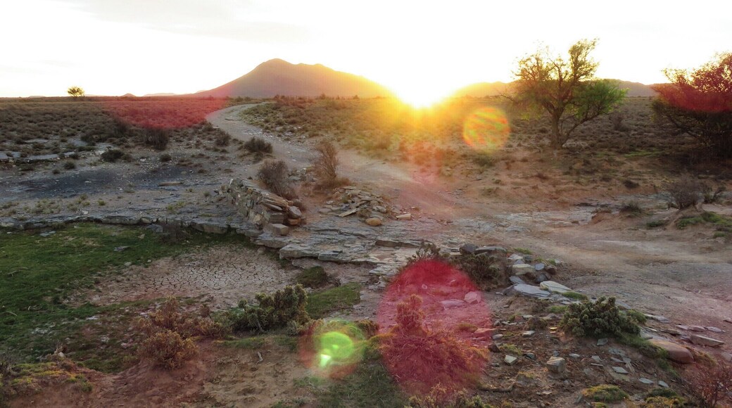 View on farm of sunset