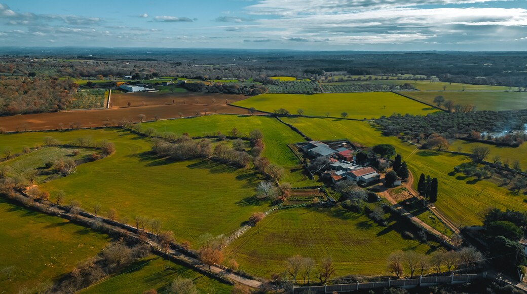 桑泰拉莫因科萊