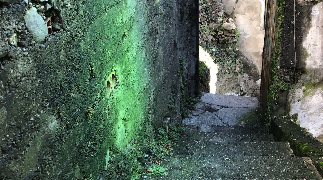 Sometimes live can make amazing jokes, there's a small flight near the ice cream shop, and if you take it this is what you can see😻