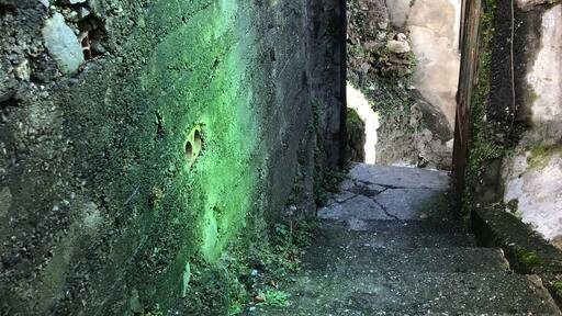 Sometimes live can make amazing jokes, there's a small flight near the ice cream shop, and if you take it this is what you can see😻