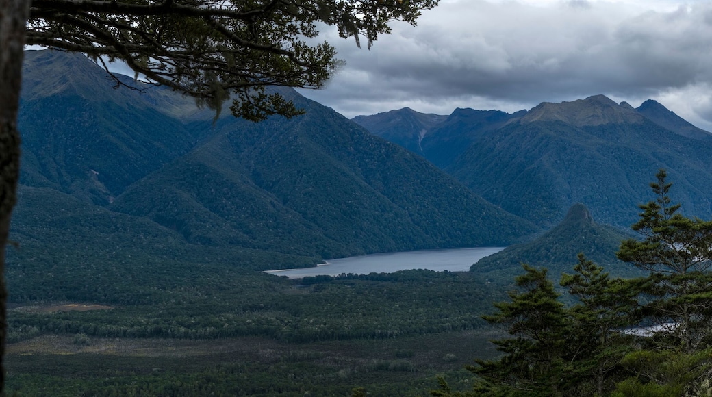 Manapouri circle trek Lookout