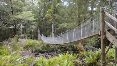 #green
great to discover. Beside famous Kepler track is this undawned track