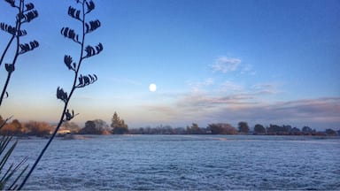 That morning was frosty outside and the moon was still up, facing the sun rising up behind the mountain ! Spectacular :) Ohakune you are so pretty ☀️❄️