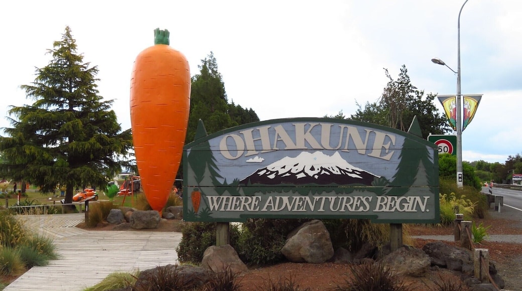 Ohakune is a small town in the North Island of New Zealand, situated 215 kilometres north of Wellington and 292 kilometres south of Auckland.
The 7.5 metre erection, “a magnificent monolith, standing tall at the gateway to the central North Island town of Ohakune” – the famous Kiwi icon the Giant Carrot – was put there by the Ohakune Growers Association in 1984.
#TakeAHike