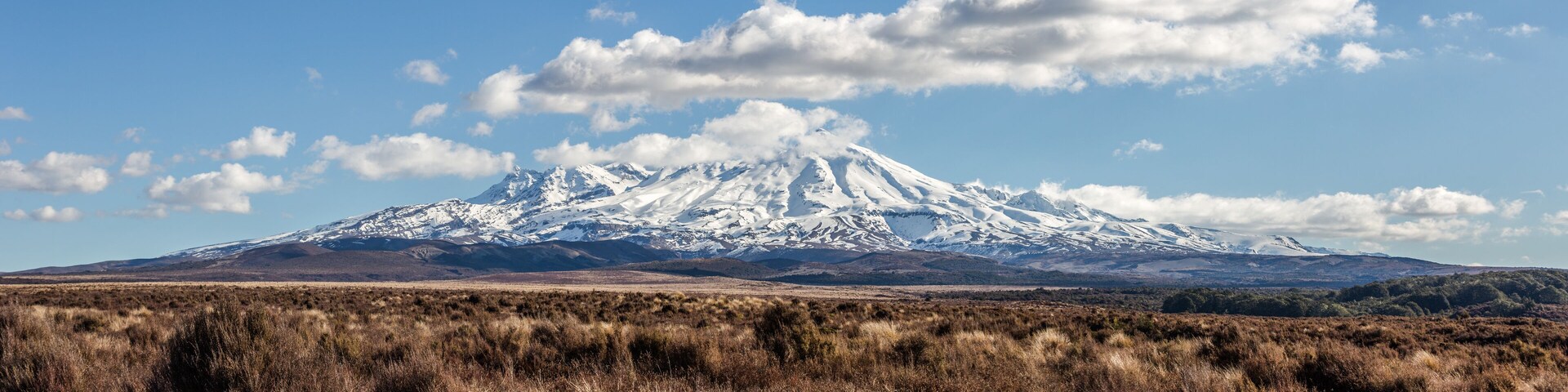 A snow-capped mountain range with a clear sky and dry grassland in the foreground.