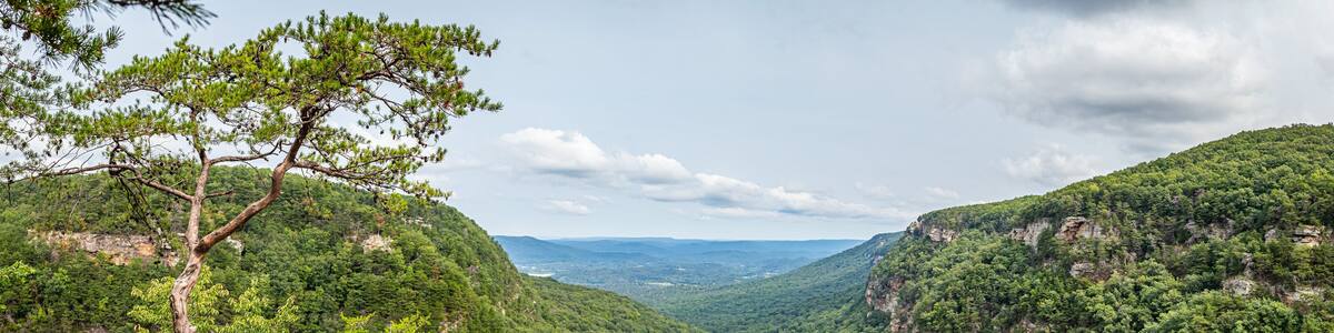 Cloudland Canyon State Park