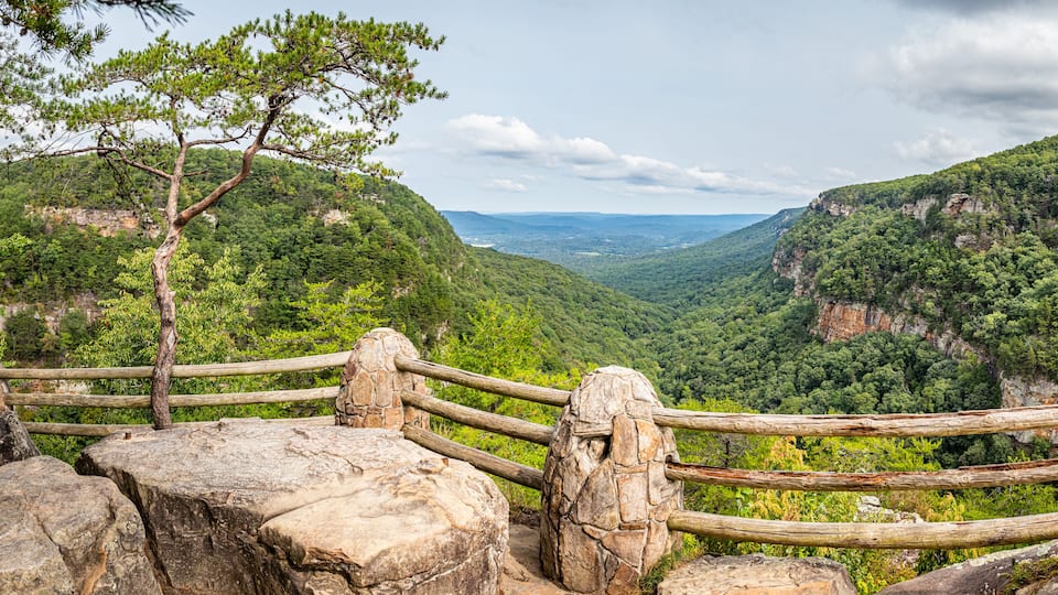 A wooden fence overlooking a valley with dense green forests and rocky cliffs.