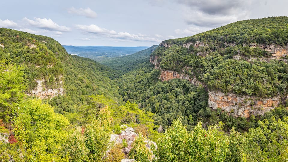 A valley with steep cliffs and dense forest.