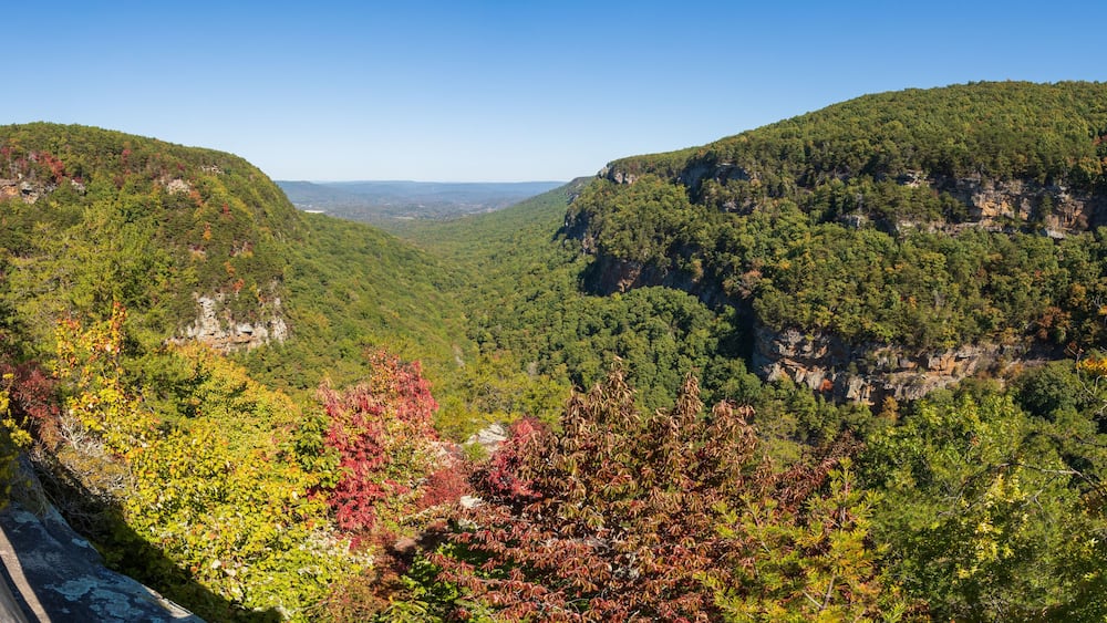 An Overlook at Cloudland Canyon State Park in Rising Fawn, Georgia