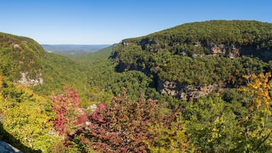 An Overlook at Cloudland Canyon State Park in Rising Fawn, Georgia