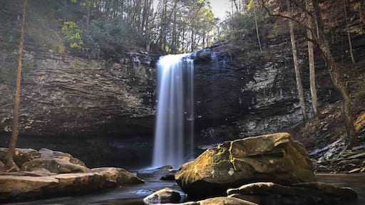 Nice waterfall in Cloudland Canyon State Parks