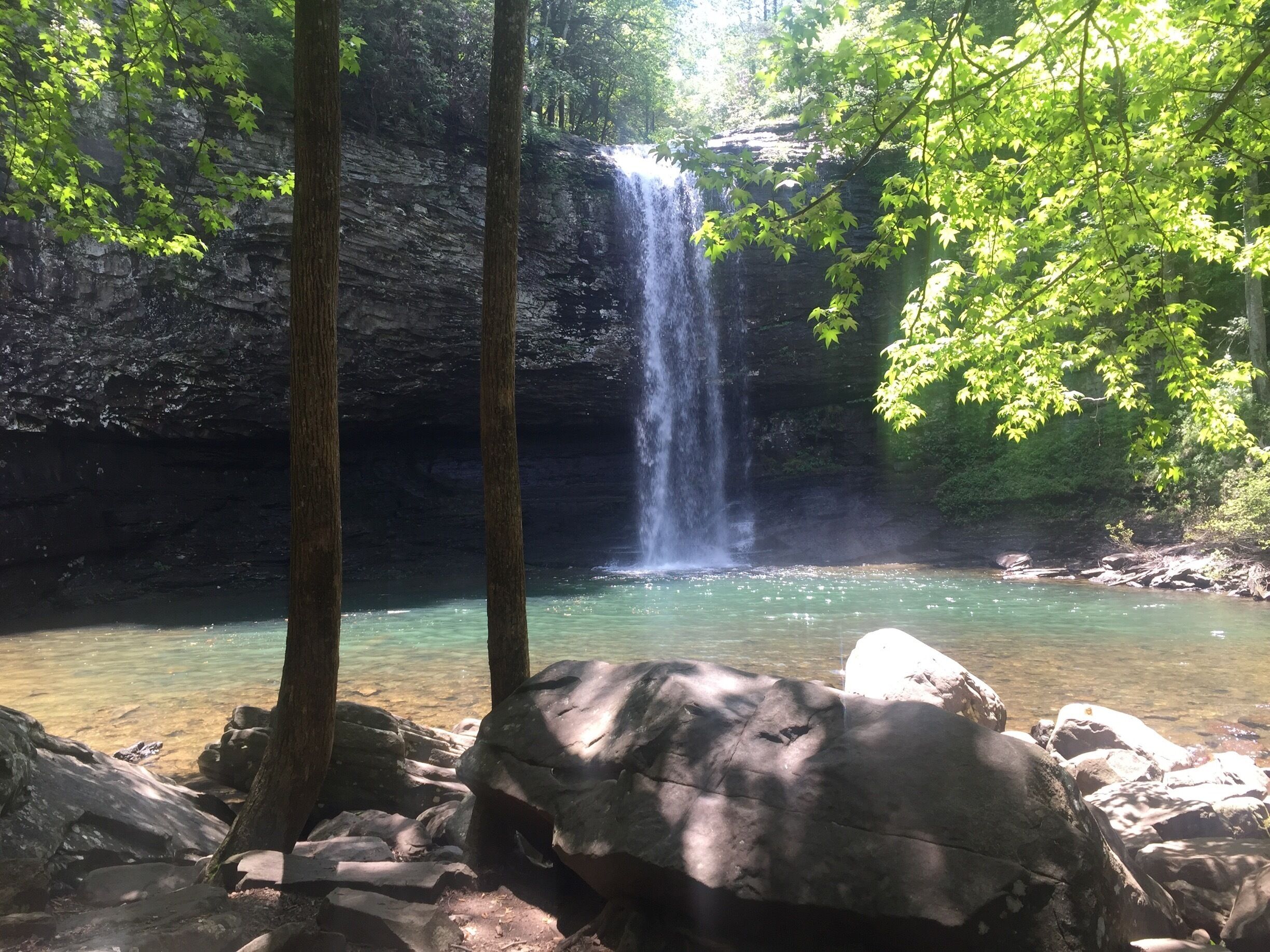 Definitely worth all the stairs! #waterfall #statepark #hiking #georgia 