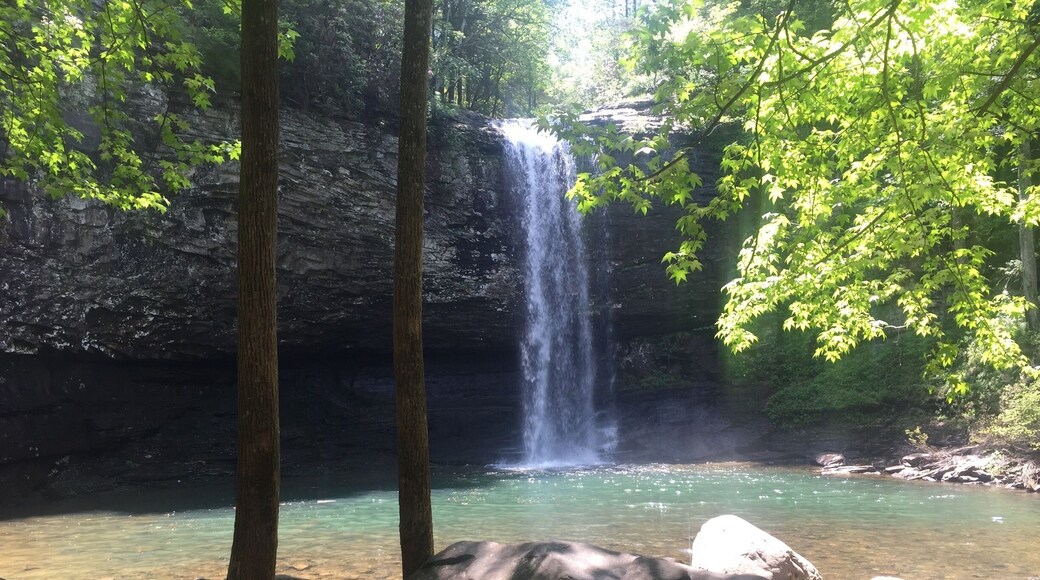 Definitely worth all the stairs! #waterfall #statepark #hiking #georgia