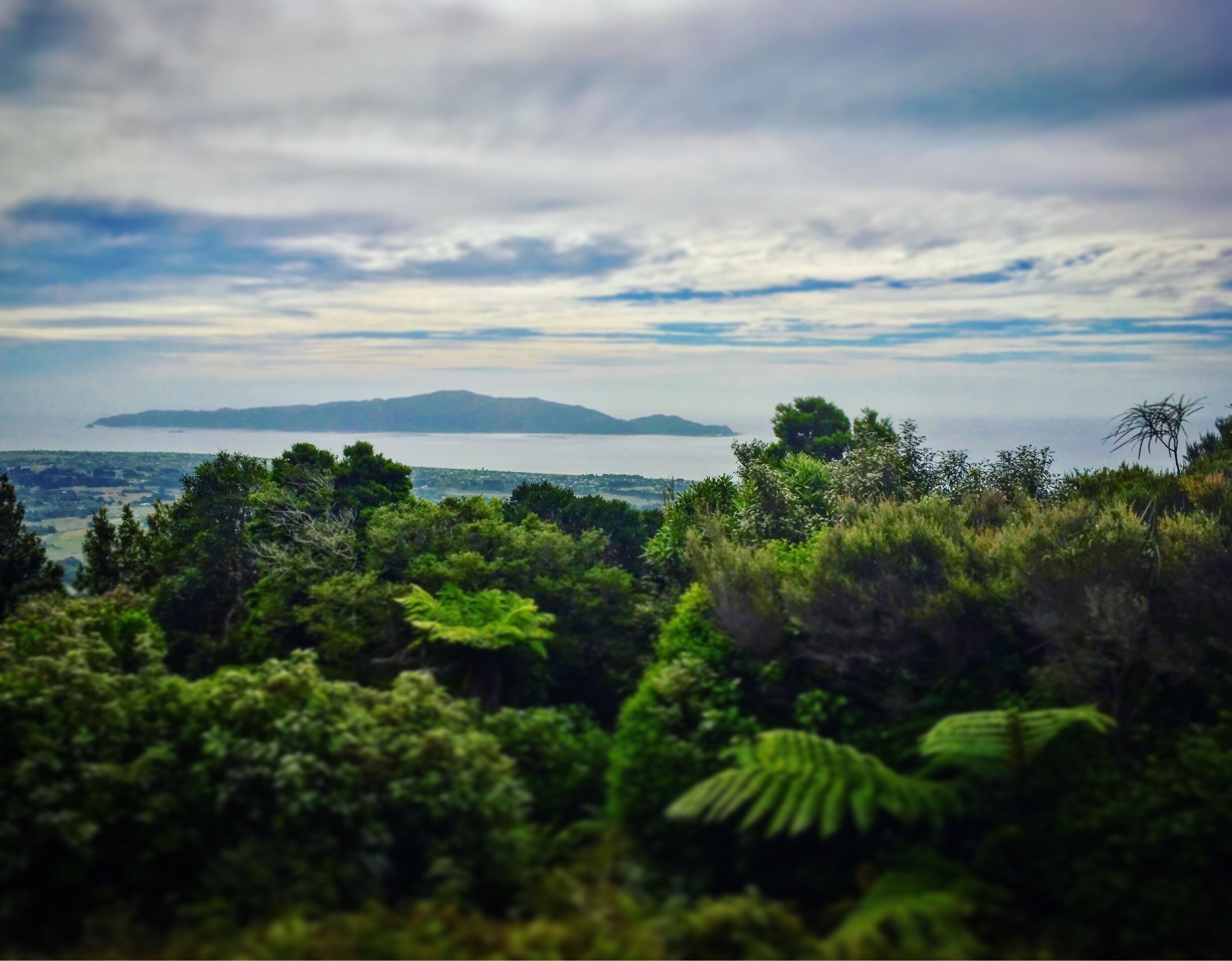 Such a great spot for a nice view over Kapiti Island. Beautiful bush walk to the first lookout, roughly a 30min walk. Great way to get out into nature and be rewarded with some stunning views 