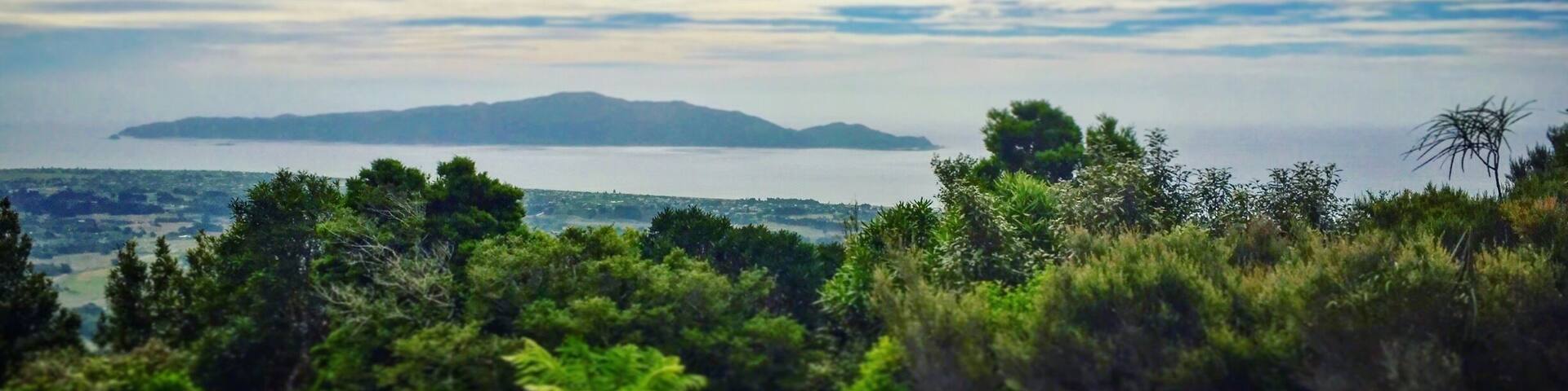 Such a great spot for a nice view over Kapiti Island. Beautiful bush walk to the first lookout, roughly a 30min walk. Great way to get out into nature and be rewarded with some stunning views
