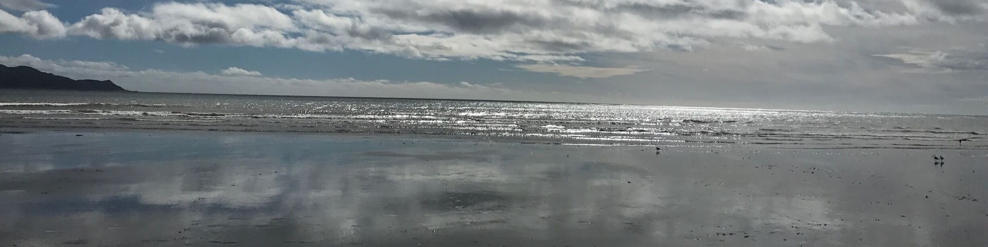 Lovely pit stop on the way to Welly!