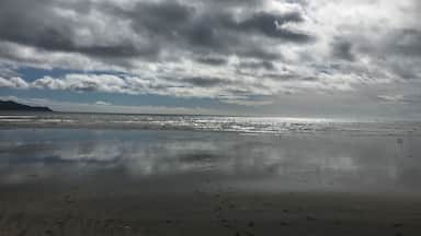 Lovely pit stop on the way to Welly!