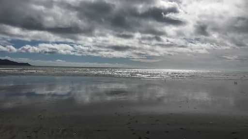 Lovely pit stop on the way to Welly!