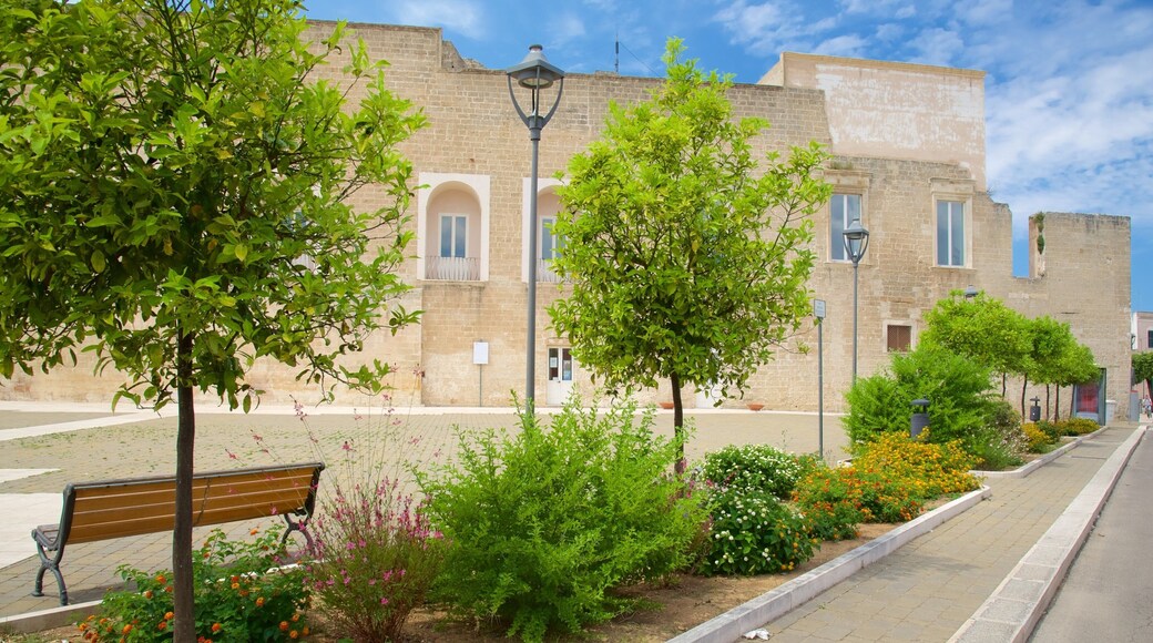 Lecce som viser park