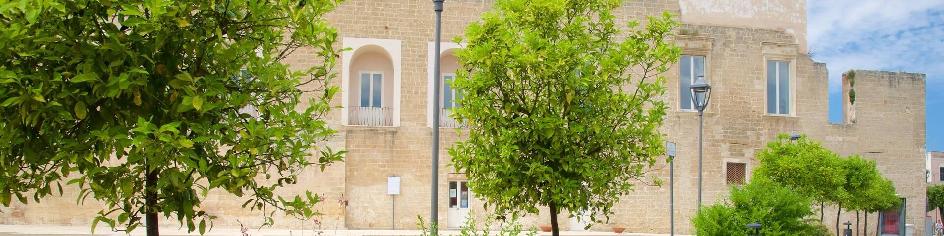 Lecce featuring a garden