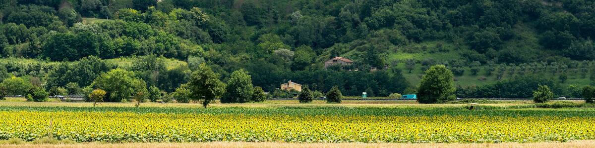 Magliano Sabina (Italy)