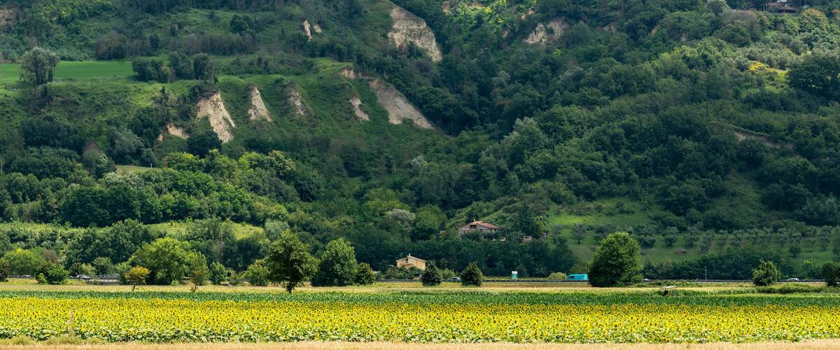 A hillside with a village on top, surrounded by green fields and trees.
