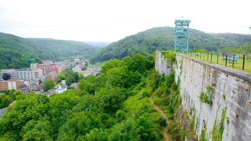 Citadel of Huy featuring a city