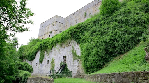 Citadel of Huy showing a castle and heritage architecture