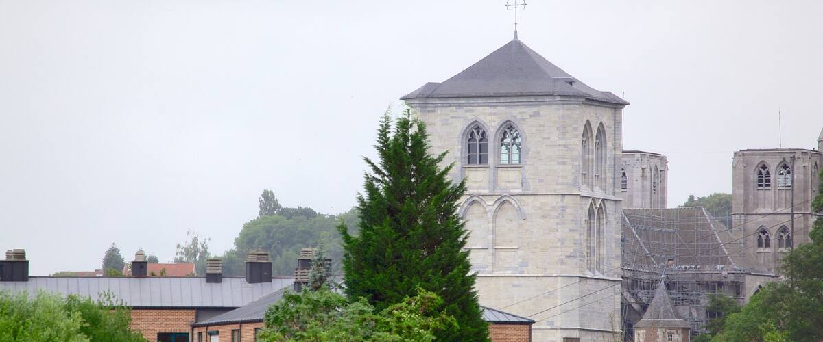 Citadel de Huy ofreciendo arquitectura patrimonial