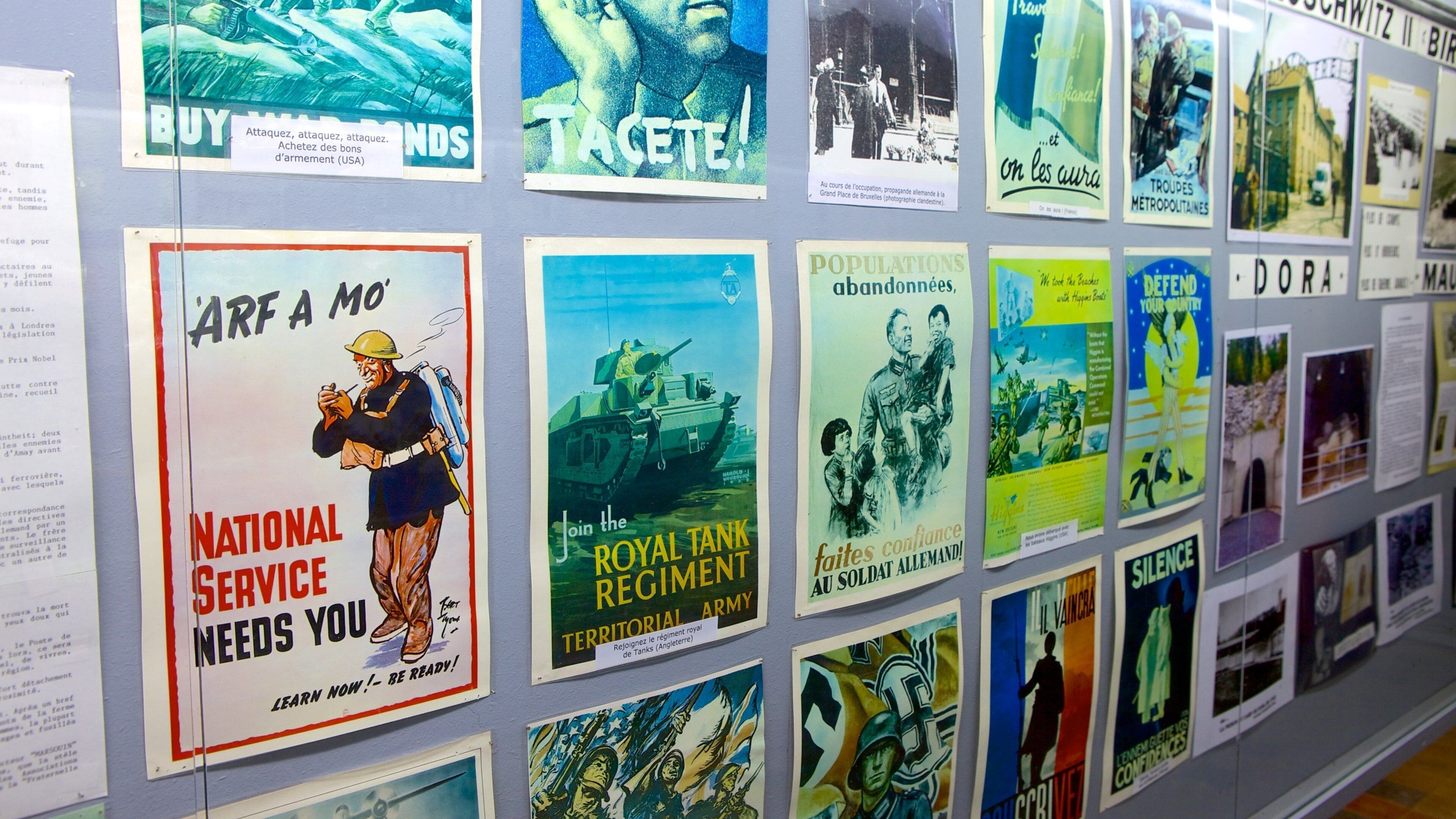 ユイのシタデル どの含み 遺跡・遺産, 屋内の眺め と アート