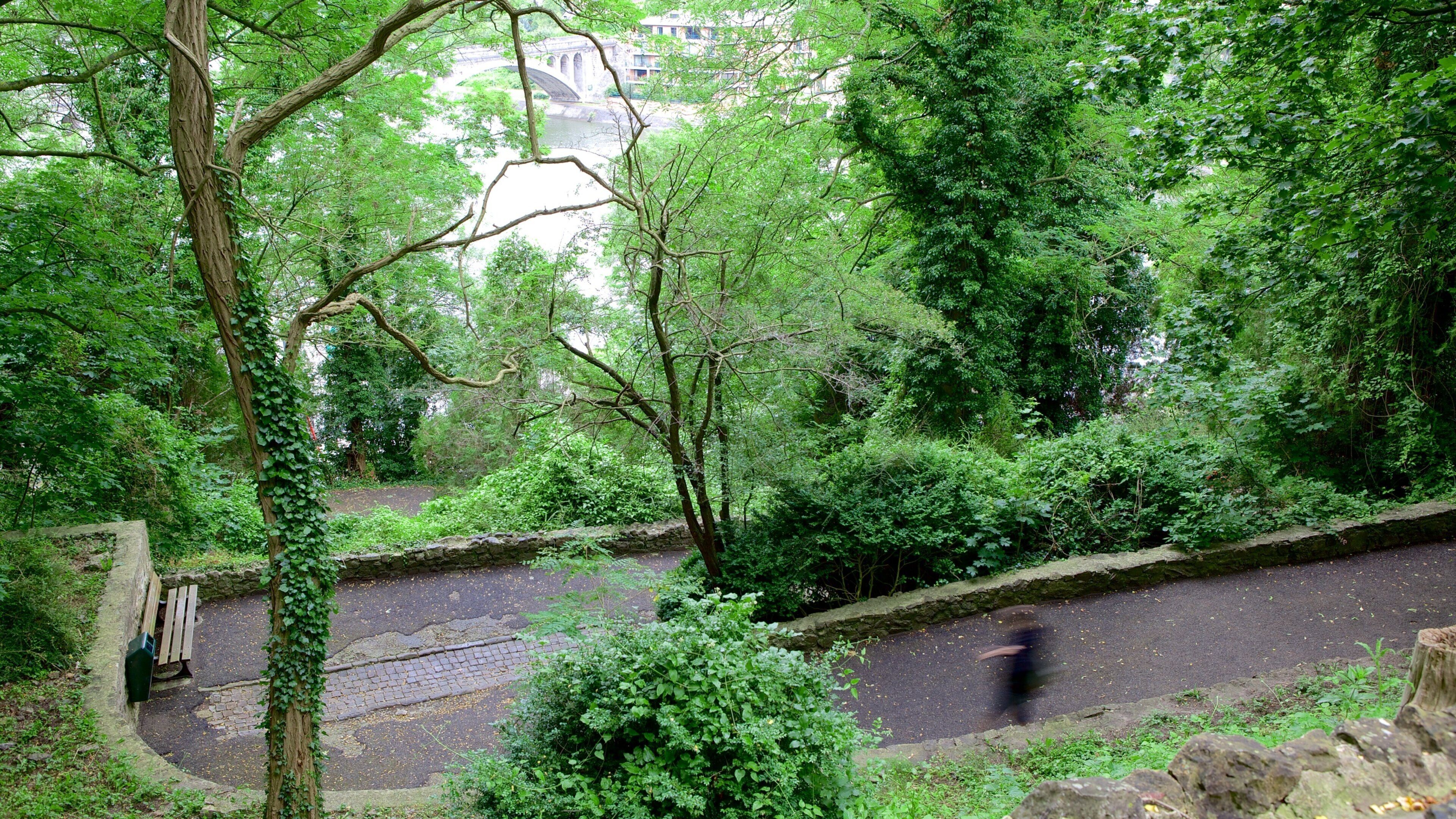 ユイのシタデル